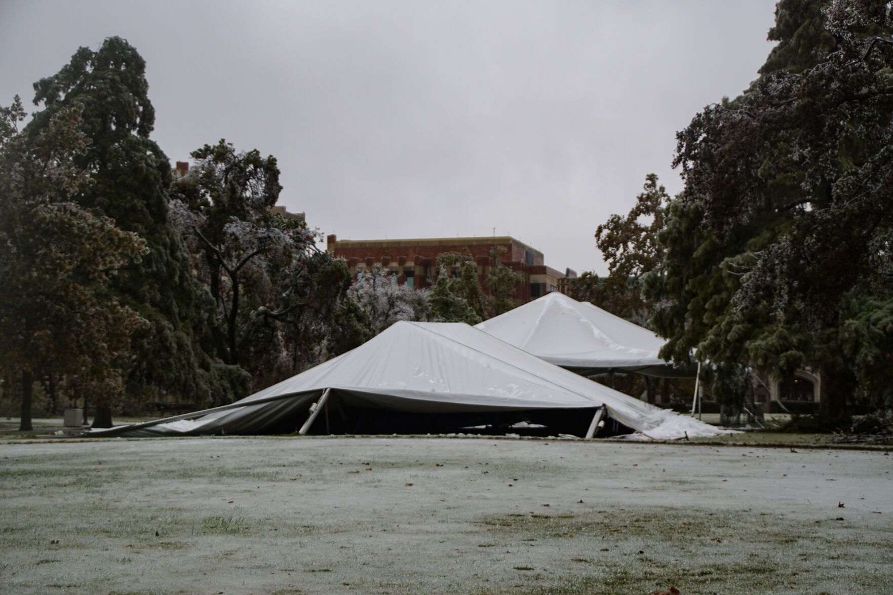 Collapsed tent